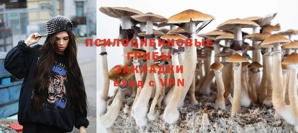 не бодяженный Карпинск